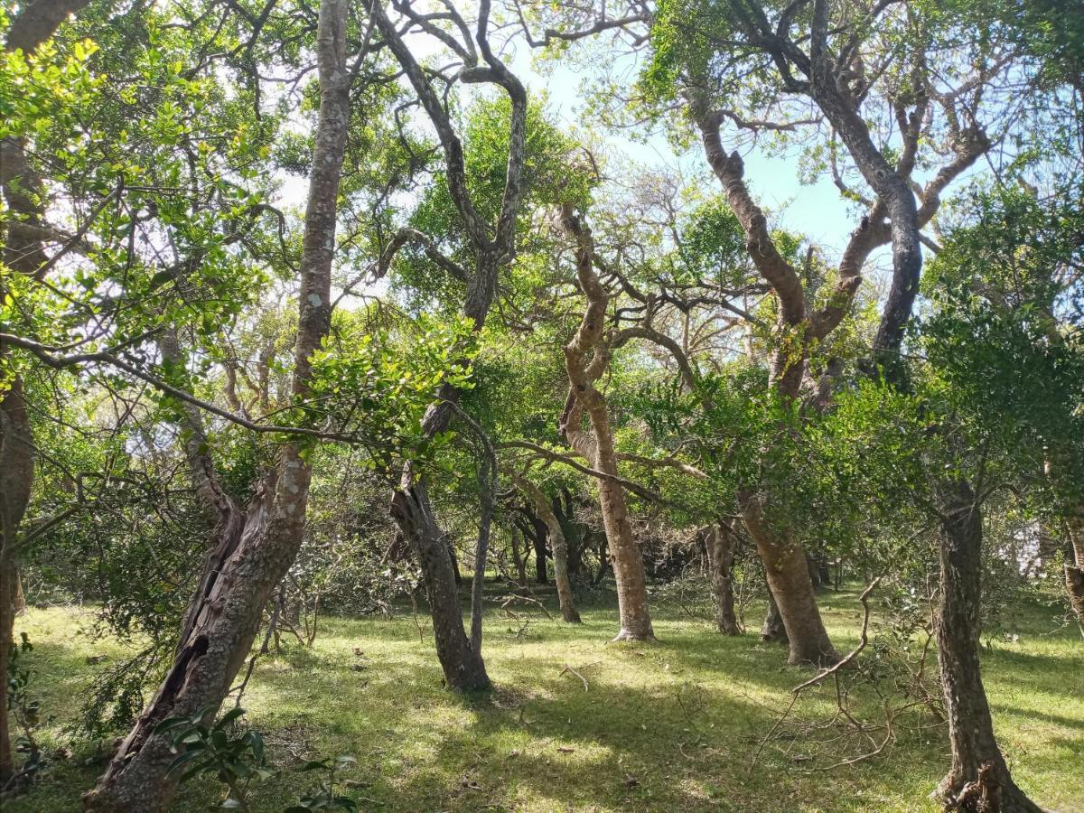 Casa de campo cerca del Cabo Villa Rincón de los Oliveras Exterior foto
